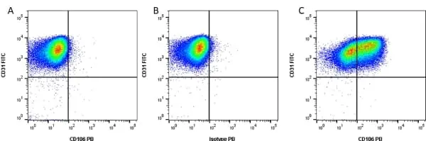 Anti Human CD106 Antibody, clone 1.G11B1 gallery image 3