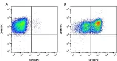 Anti Human CD106 Antibody, clone 1.G11B1 gallery image 4