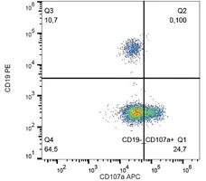 Anti Human CD107a Antibody, clone H4A3 gallery image 2