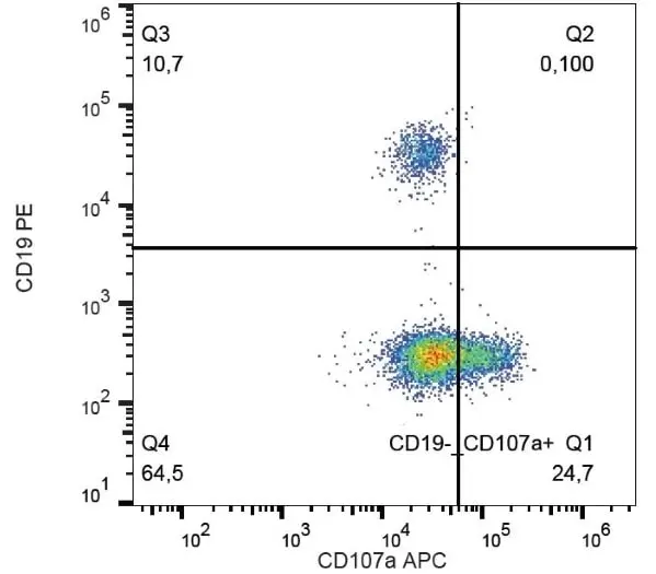 Anti Human CD107a Antibody, clone H4A3 gallery image 2