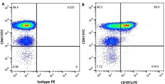 Anti Human CD107a Antibody, clone H4A3 gallery image 3