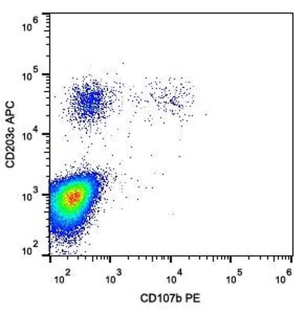 Anti Human CD107b Antibody, clone H4B4 gallery image 2