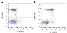 Anti Human CD115/CSF1R Antibody, clone FER216 gallery image 1