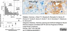 Anti Human CD115/CSF1R Antibody, clone FER216 gallery image 10