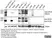 Anti Human CD115/CSF1R Antibody, clone FER216 thumbnail image 4