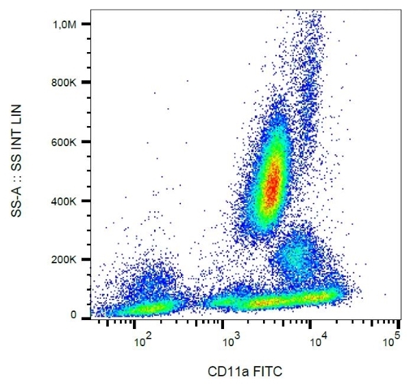 Anti Human CD11a Antibody, clone MEM-25 gallery image 3