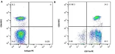 Anti Human CD11a Antibody, clone MEM-25 gallery image 4