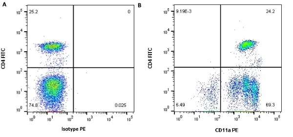 Anti Human CD11a Antibody, clone MEM-25 gallery image 4