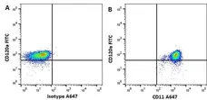 Anti Human CD11b Antibody, clone ICRF44 gallery image 1
