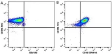 Anti Human CD11b Antibody, clone ICRF44 gallery image 14