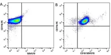 Anti Human CD11b Antibody, clone ICRF44 gallery image 16