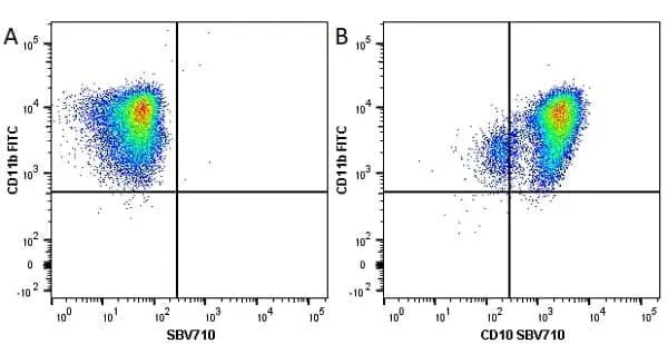 Anti Human CD11b Antibody, clone ICRF44 gallery image 17