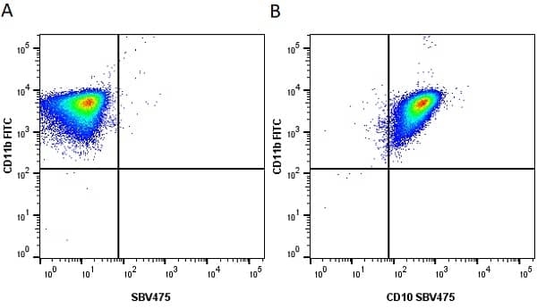 Anti Human CD11b Antibody, clone ICRF44 gallery image 19