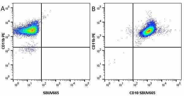 Anti Human CD11b Antibody, clone ICRF44 gallery image 20