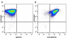 Anti Human CD11b Antibody, clone ICRF44 gallery image 21
