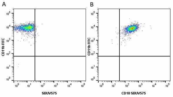 Anti Human CD11b Antibody, clone ICRF44 gallery image 22