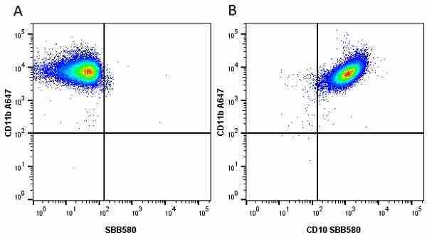 Anti Human CD11b Antibody, clone ICRF44 gallery image 23