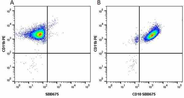 Anti Human CD11b Antibody, clone ICRF44 gallery image 24
