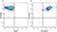 Anti Human CD11b Antibody, clone ICRF44 thumbnail image 26