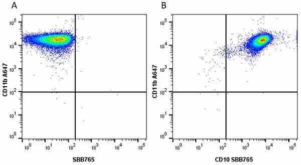 Anti Human CD11b Antibody, clone ICRF44 gallery image 26