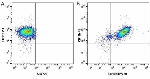 Anti Human CD11b Antibody, clone ICRF44 gallery image 28