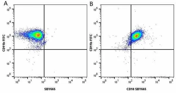 Anti Human CD11b Antibody, clone ICRF44 gallery image 31