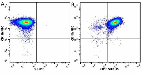 Anti Human CD11b Antibody, clone ICRF44 gallery image 35