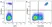 Anti Human CD11b Antibody, clone ICRF44 thumbnail image 40