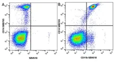 Anti Human CD11b Antibody, clone ICRF44 gallery image 42