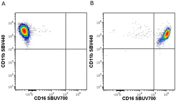 Anti Human CD11b Antibody, clone ICRF44 gallery image 44