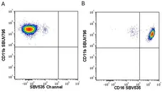 Anti Human CD11b Antibody, clone ICRF44 gallery image 46