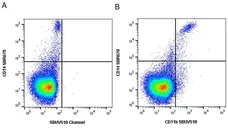 Anti Human CD11b Antibody, clone ICRF44 gallery image 47