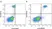 Anti Human CD11b Antibody, clone ICRF44 thumbnail image 48