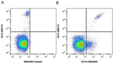Anti Human CD11b Antibody, clone ICRF44 gallery image 49