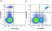 Anti Human CD11b Antibody, clone ICRF44 thumbnail image 50