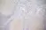 Anti Human CD11b Antibody, clone ICRF44 thumbnail image 8