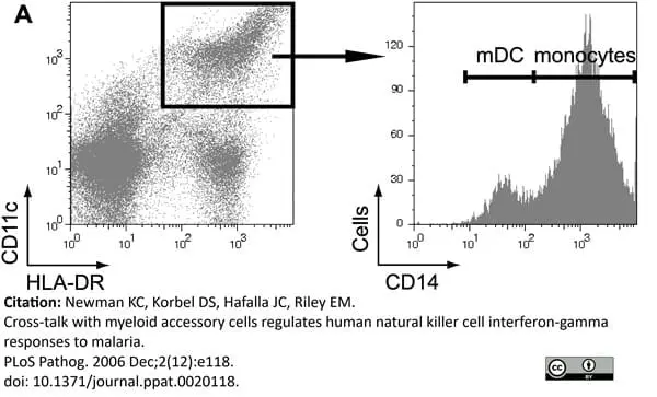 Anti Human CD11c Antibody, clone BU15 | Bio-Rad