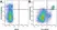 Anti Human CD11c Antibody, clone BU15 thumbnail image 5