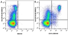 Anti Human CD11c Antibody, clone BU15 gallery image 8