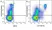 Anti Human CD11c Antibody, clone BU15 thumbnail image 8