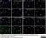 Anti Human CD126/Il-6R Antibody, clone B-R6 thumbnail image 2