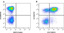 Anti Human CD127 Antibody, clone rAbD11590kb gallery image 1