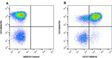 Anti Human CD127 Antibody, clone rAbD11590kb gallery image 3