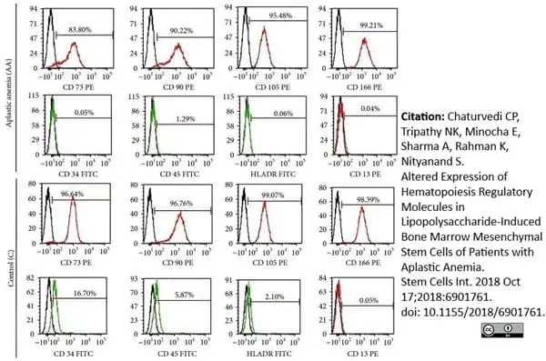 Anti Human CD13 Antibody, clone WM15 | Bio-Rad