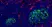 Anti Human CD13 Antibody, clone WM15 thumbnail image 7