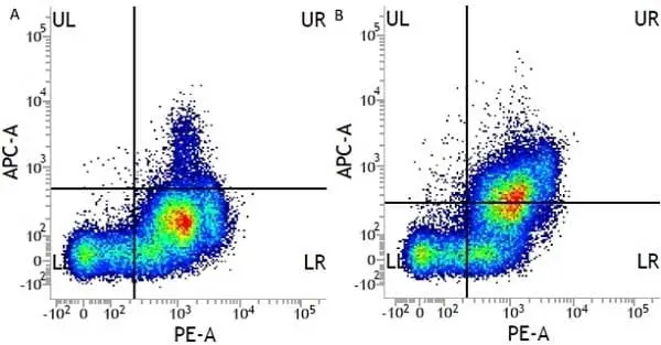 Anti Human CD13 Antibody, clone WM15 | Bio-Rad