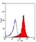 Anti Human CD138 Antibody, clone B-A38 thumbnail image 1