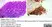 Anti Human CD138 Antibody, clone B-A38 thumbnail image 12