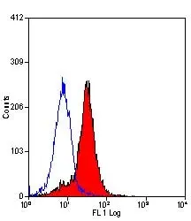 Anti Human CD138 Antibody, clone B-A38 gallery image 2