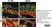 Anti Human CD138 Antibody, clone B-A38 thumbnail image 3